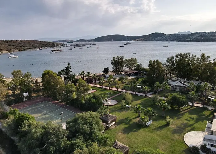 A'la Grand * Αλικαρνασσός